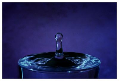 Cliquez pour voir l'image en taille relle