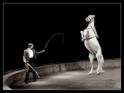 Cliquez pour voir l'image en taille relle