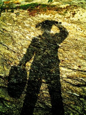 Cliquez pour voir l'image en taille relle