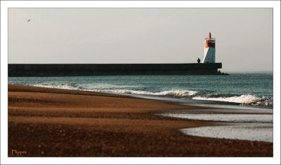 Cliquez pour voir l'image en taille relle
