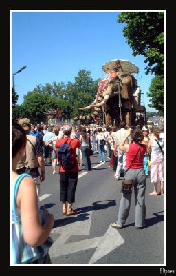 Cliquez pour voir l'image en taille relle