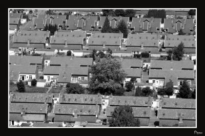 Cliquez pour voir l'image en taille relle