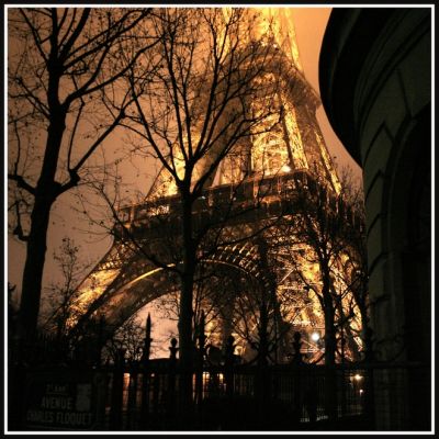 Cliquez pour voir l'image en taille relle