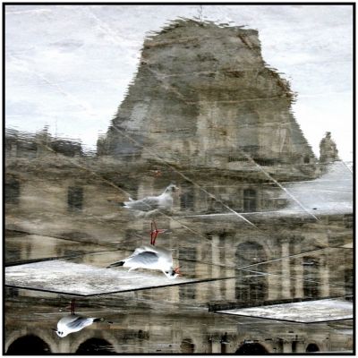 Cliquez pour voir l'image en taille relle