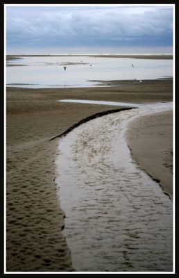 Cliquez pour voir l'image en taille relle