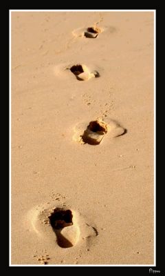 Cliquez pour voir l'image en taille relle