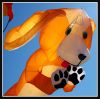 chien1.jpg