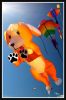 chien2.jpg
