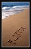 Nom du fichier : ocean3_filtered.jpg
Poids du fichier : 220Ko
Dimensions : 474x730
Ajouté le : 27 Aout 2005 ocean3_filtered.jpg