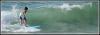 surf1.jpg
